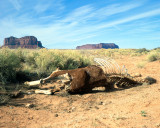 Horse; Monument Valley, Arizona, United States : from series: Modern American Landscapes: road kill