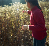 02_ReImagining Eden_York : girl trying to touch a butterfly using nature to learn about herself and find her identity through experiencing the natural world