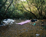 A pink mat used by sex workers in a wooded area on the outskirts of Rome : A pink mat used by sex workers in a wooded area on the outskirts of Rome